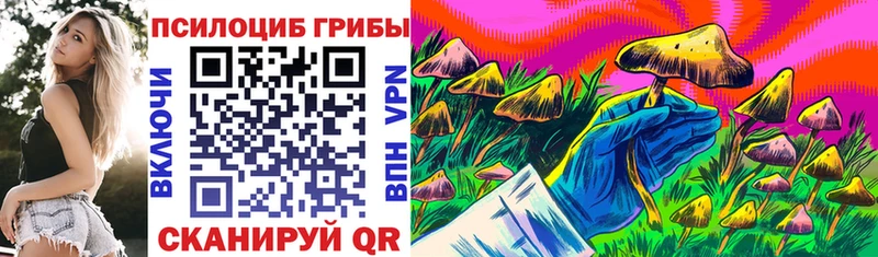 купить наркотики сайты  Шахты  Галлюциногенные грибы Psilocybe 