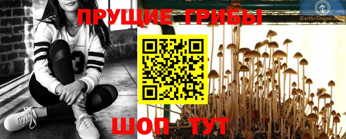 Шахты  Галлюциногенные грибы Magic Shrooms  Вход с VPN  Псилоцибиновые грибы Magic Shrooms 