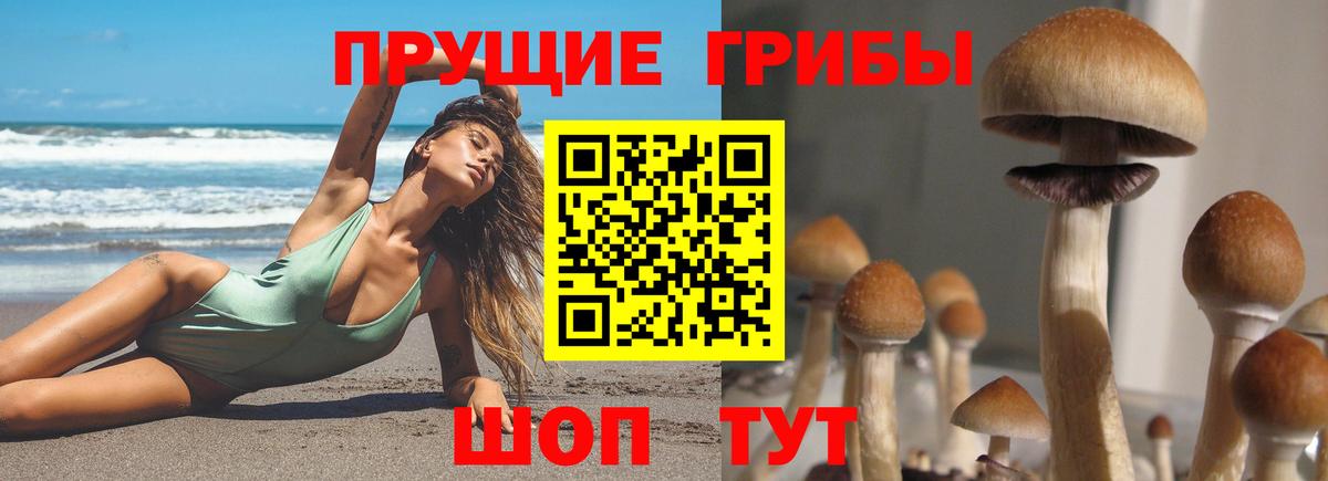 Галлюциногенные грибы GOLDEN TEACHER Шахты