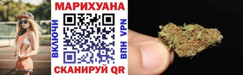 наркота Шахты Марихуана сатива